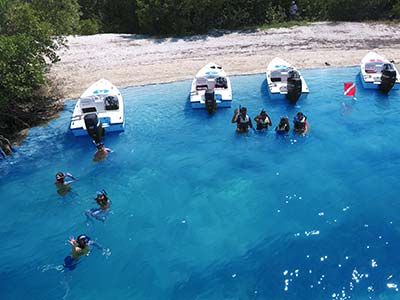 Key West Safari Eco Snorkel Tour